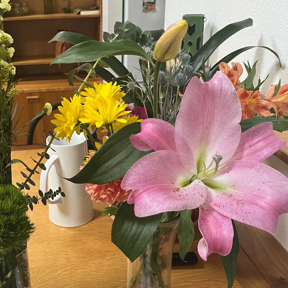 Meet your Posher, Victoria